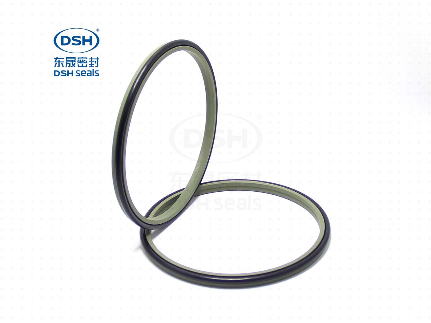 防塵油封DSZ