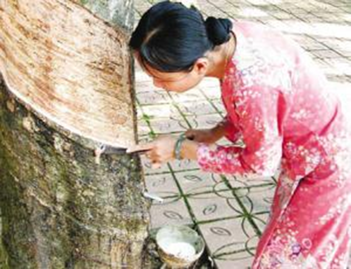 橡膠密封件材料材質(zhì)分類2 橡膠密封件材料材質(zhì)分類2