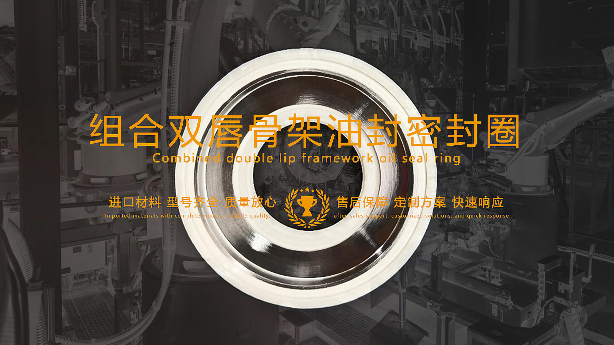 組合雙唇骨架油封密封圈膜片 組合雙唇骨架油封密封圈膜片