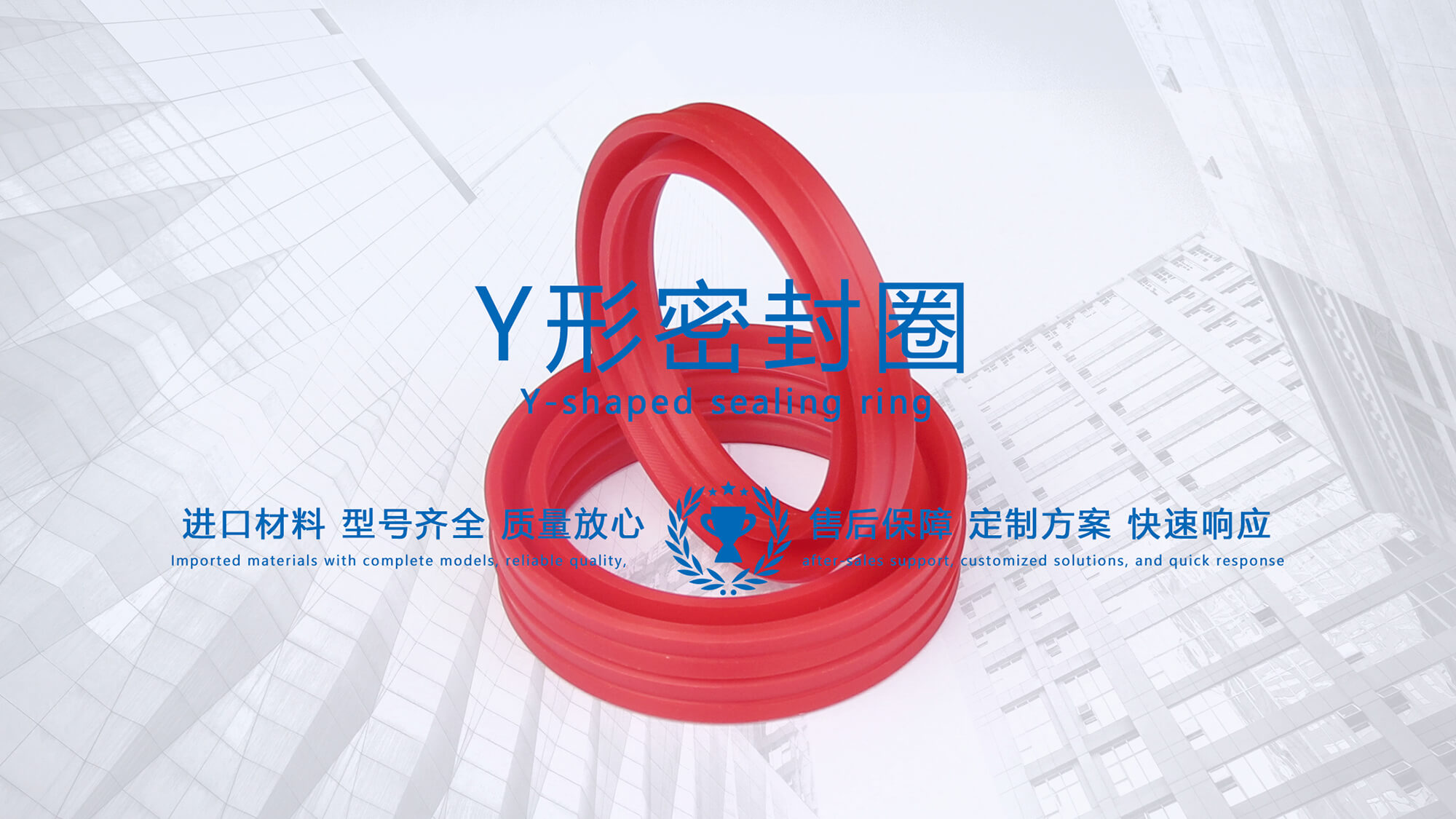 y型密封圈（又Y形密封圈，Y形圈，Y型圖或唇形密封圈，密封件油封膜片） (3)