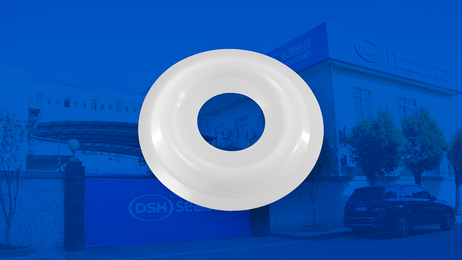 米頓羅計(jì)量泵膜片 （又叫隔膜、密封件、密封圈、油封） (2)