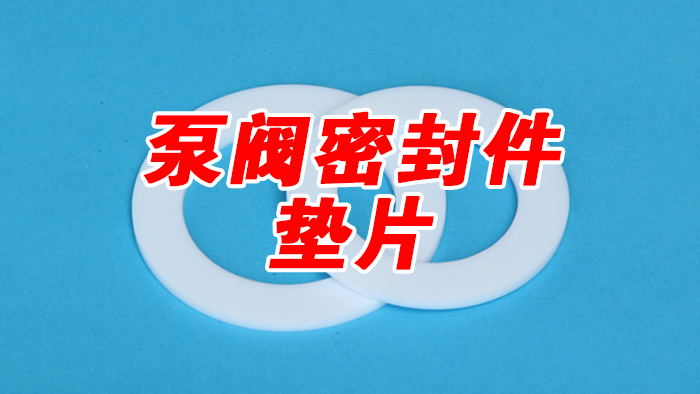 泵閥密封件純PTFE-墊片 泵閥密封件純PTFE-墊片