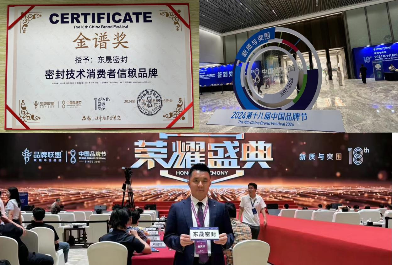 東晟密封件閃耀2024第十八屆中國(guó)品牌節(jié)，榮獲密封技術(shù)“金譜獎(jiǎng)”